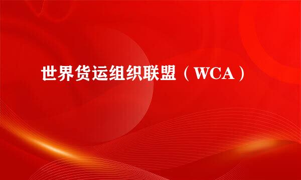 世界货运组织联盟（WCA）