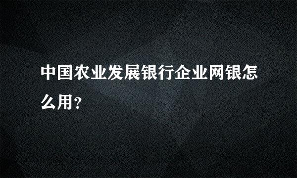 中国农业发展银行企业网银怎么用？