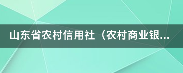 山东省农村信用社台斯卫减五确（农村商业银行、农村合作银行）网银