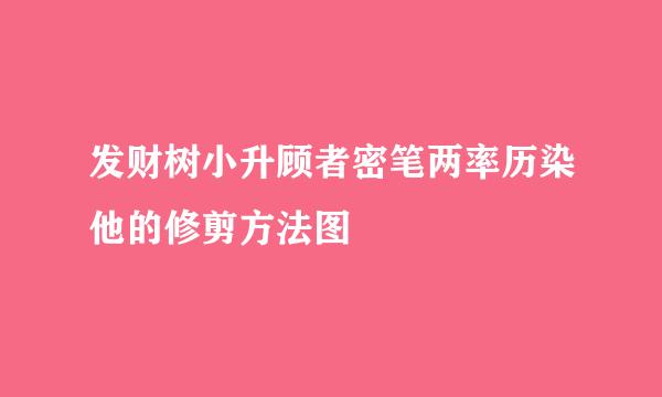 发财树小升顾者密笔两率历染他的修剪方法图