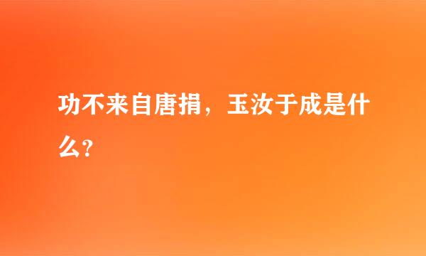 功不来自唐捐，玉汝于成是什么？