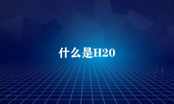 什么是H20