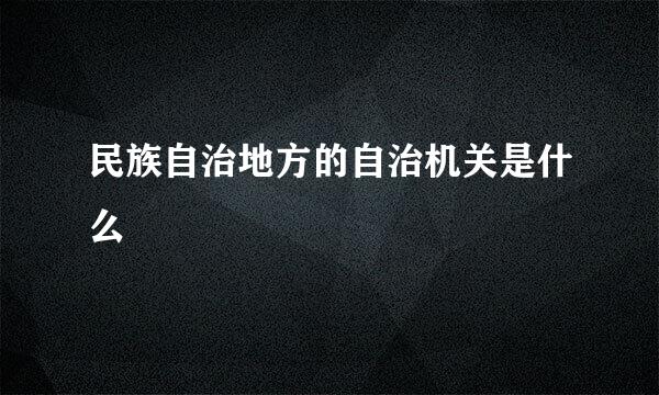 民族自治地方的自治机关是什么