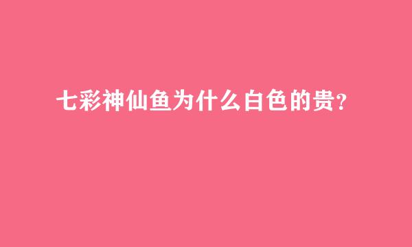 七彩神仙鱼为什么白色的贵？