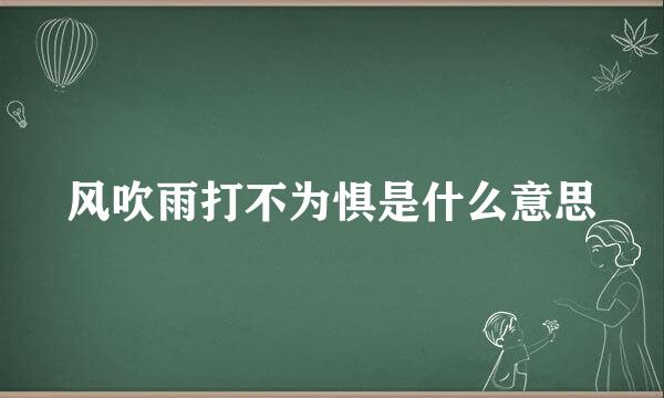 风吹雨打不为惧是什么意思