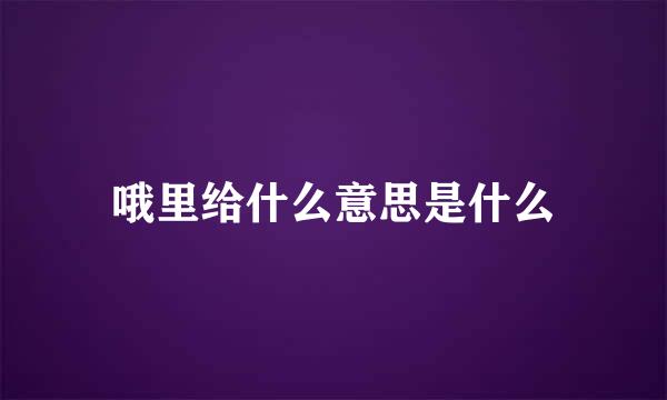 哦里给什么意思是什么