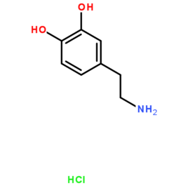 多巴胺和内啡肽究竟有什么区别?