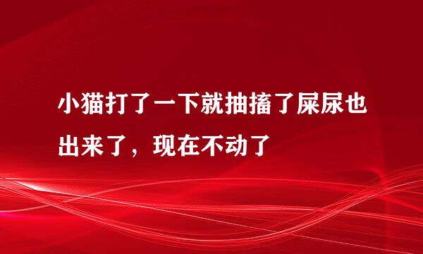 小猫打了一下就抽搐了屎尿也出来了，现在不动了