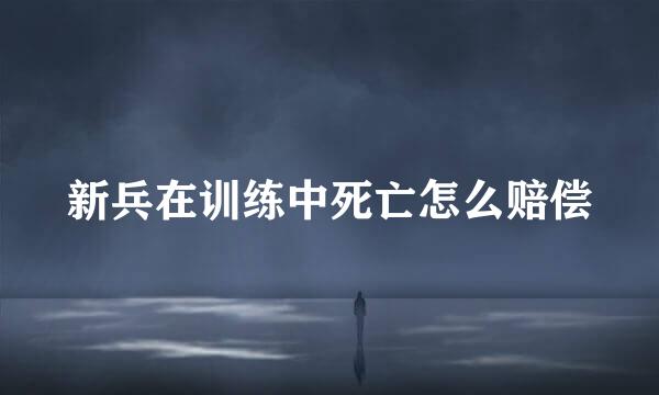 新兵在训练中死亡怎么赔偿