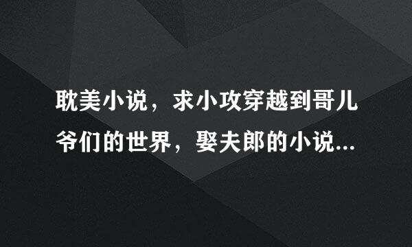 耽美小说，求小攻穿越到哥儿爷们的世界，娶夫郎的小说各位壮士好汉帮