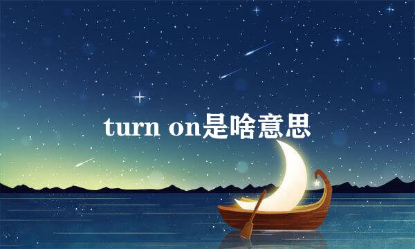 turn on是啥意思