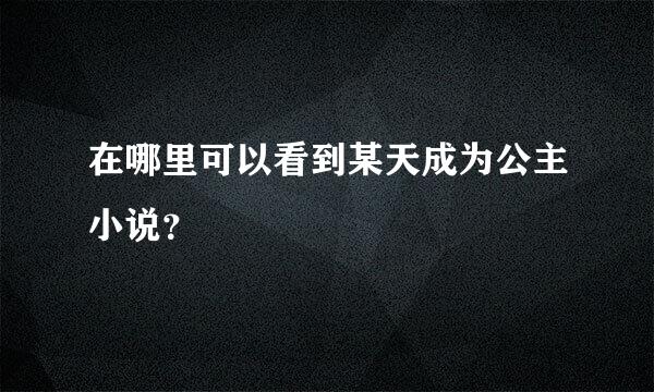 在哪里可以看到某天成为公主小说？