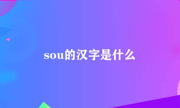 sou的汉字是什么