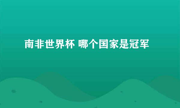 南非世界杯 哪个国家是冠军