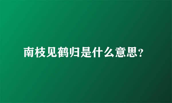 南枝见鹤归是什么意思？