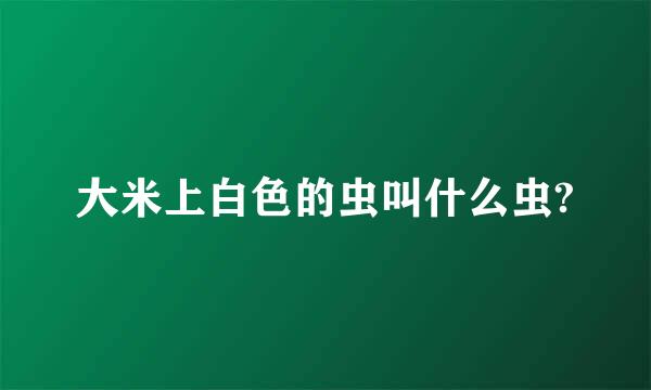 大米上白色的虫叫什么虫?