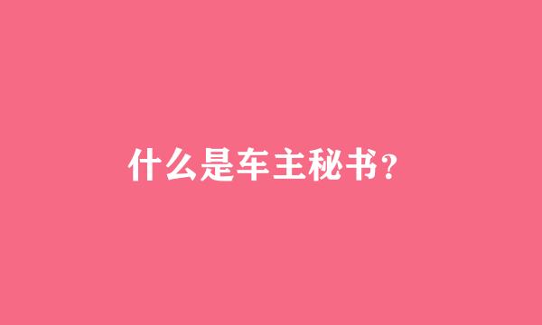 什么是车主秘书？