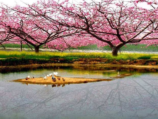 桃花源记的作者简介和文章背景