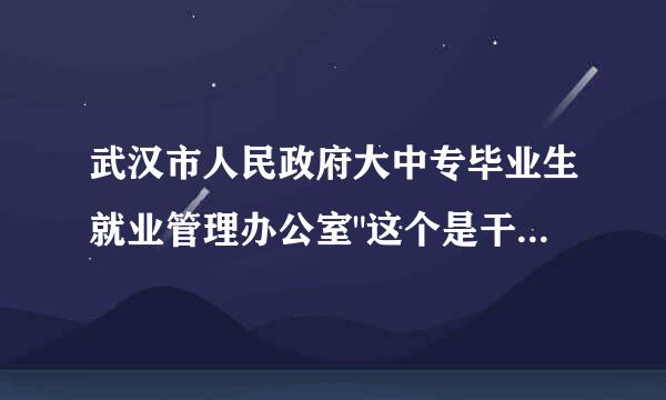 武汉市人民政府大中专毕业生就业管理办公室