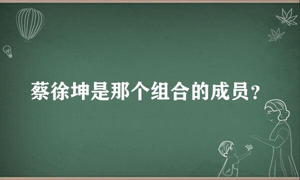 蔡徐坤是那个组合的成员？