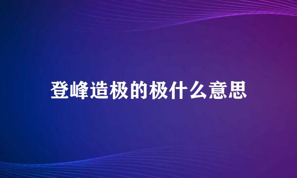 登峰造极的极什么意思