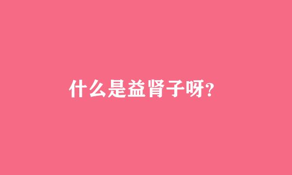 什么是益肾子呀？