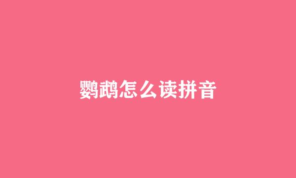 鹦鹉怎么读拼音