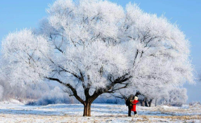 你再不来,我要下雪了什么意思