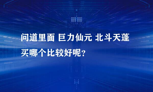 问道里面 巨力仙元 北斗天蓬 买哪个比较好呢？