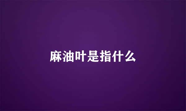 麻油叶是指什么