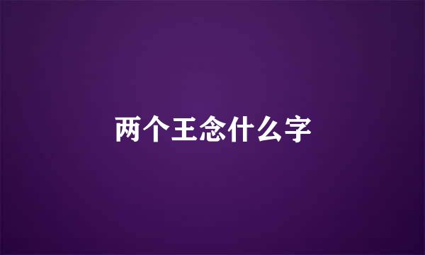 两个王念什么字