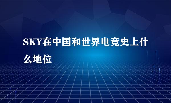 SKY在中国和世界电竞史上什么地位