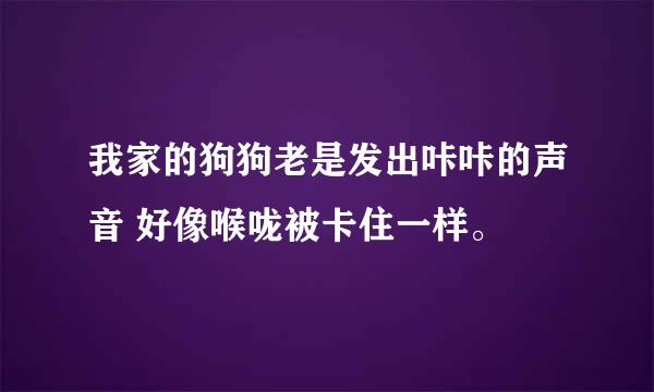 我家的狗狗老是发出咔咔的声音 好像喉咙被卡住一样。