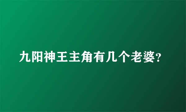 九阳神王主角有几个老婆？