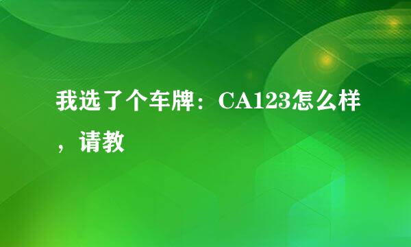 我选了个车牌：CA123怎么样，请教