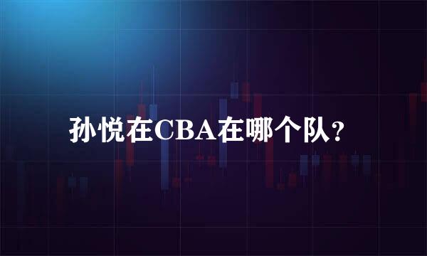 孙悦在CBA在哪个队？