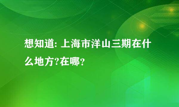 想知道: 上海市洋山三期在什么地方?在哪？