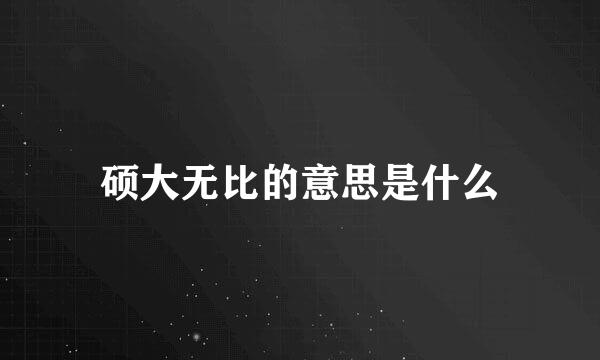 硕大无比的意思是什么