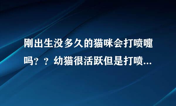 刚出生没多久的猫咪会打喷嚏吗？？幼猫很活跃但是打喷嚏，猫精神好打喷嚏，这是着凉吗？？怎么办？？？