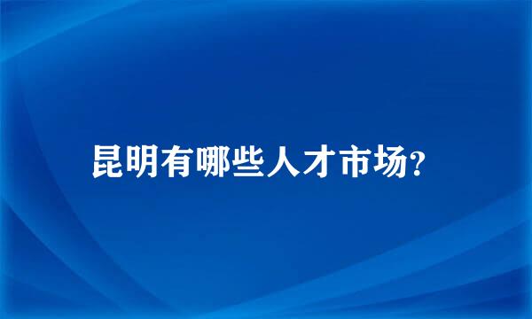 昆明有哪些人才市场？