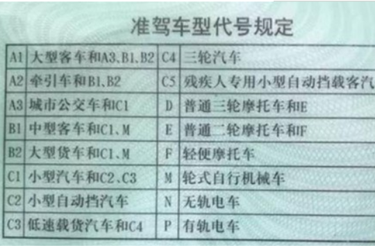 D驾照能开什么车？