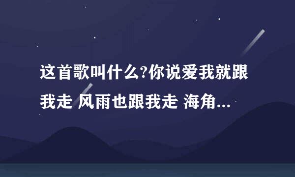 这首歌叫什么?你说爱我就跟我走 风雨也跟我走 海角也跟我走 决定就不回头~~~~