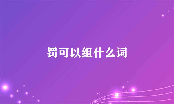 罚可以组什么词