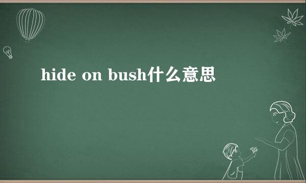 hide on bush什么意思