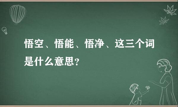 悟空、悟能、悟净、这三个词是什么意思？