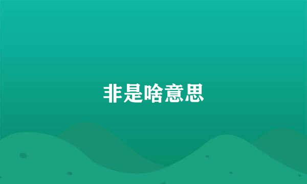 非是啥意思