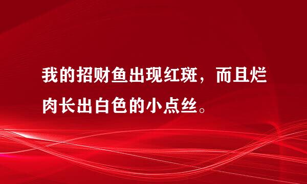 我的招财鱼出现红斑，而且烂肉长出白色的小点丝。