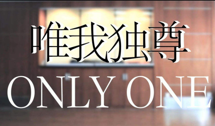 only one什么意思