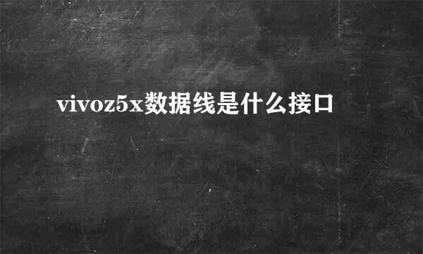 vivoz5x数据线是什么接口