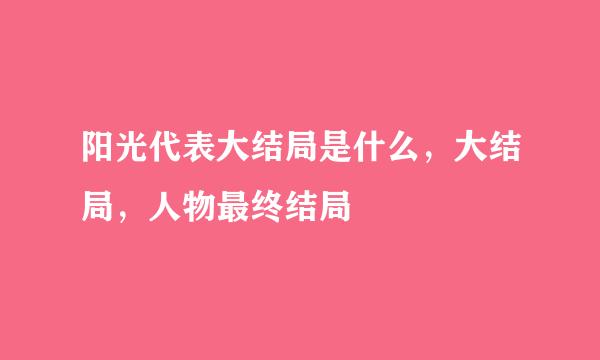 阳光代表大结局是什么，大结局，人物最终结局